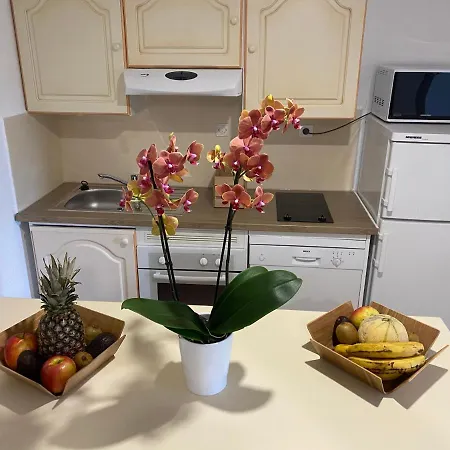 Santa Giulia - Le Village De L'hacienda * פורטו-וישיו