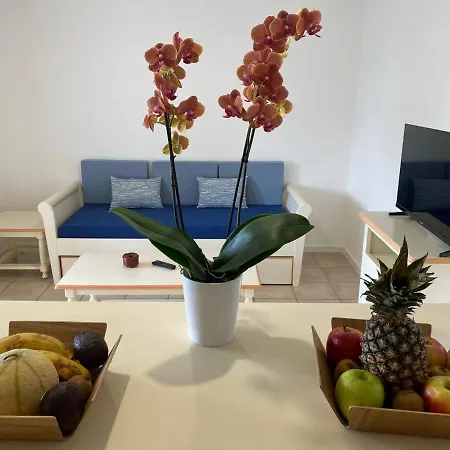 Le Village De L'hacienda - Marina Di Santa Giulia- Porto-vecchio Apartment
